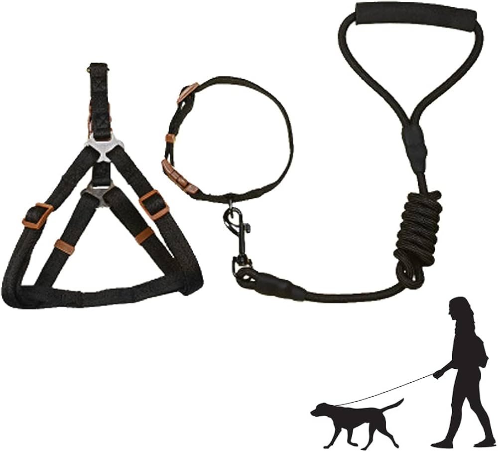 Dog Harness & Lead Set
