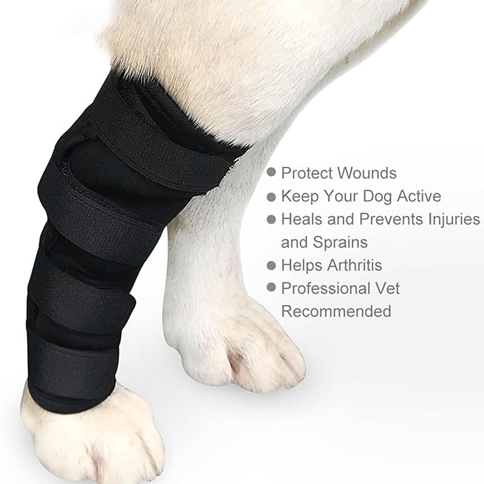Dog Hock Brace