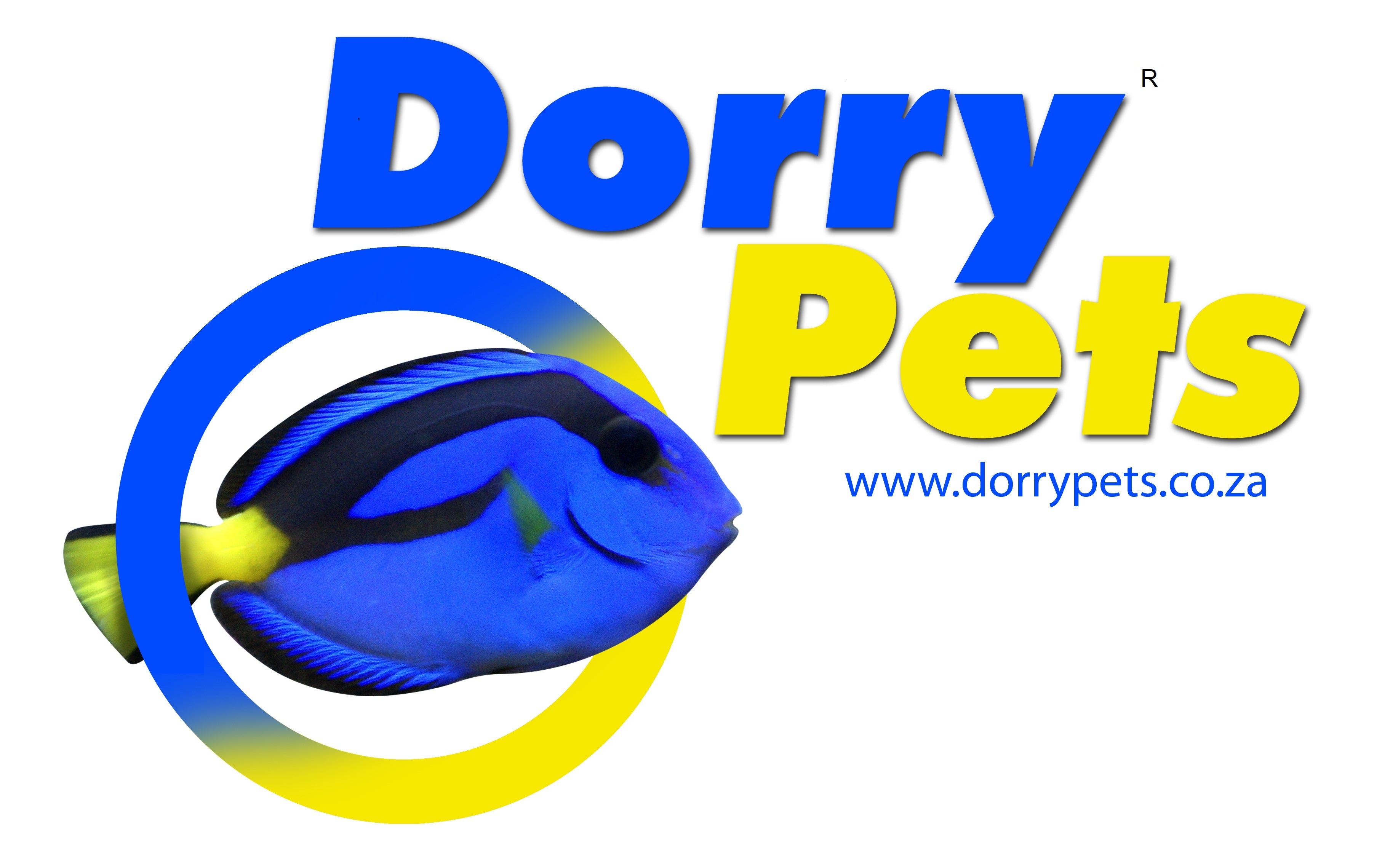 UV Sterilizers – Dorry Pets