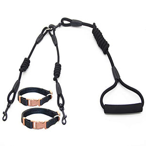 Double Dog Walking Lead