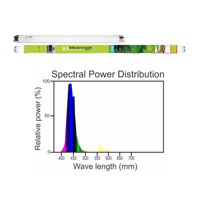 EXTRA DAY HI GLOW (PLANT LUX) 10W
