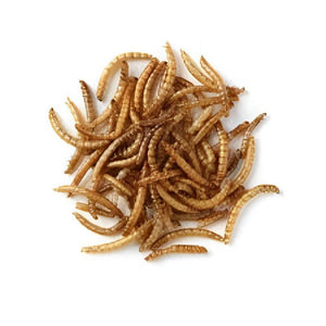 Giangarden Dried Mealworms