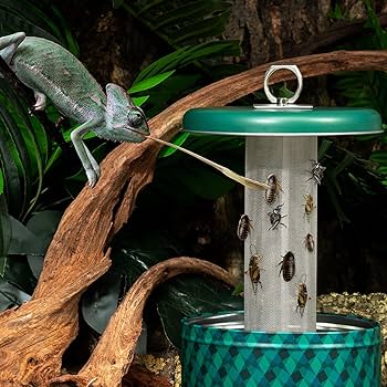 Giangarden Live Cricket Feeder (FRA05)