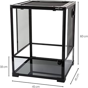 Giangarden Glass Terrarium
