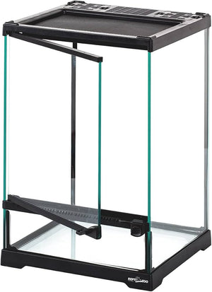 Giangarden Glass Terrarium