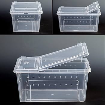 Standard Reptile Keeping Box (SY)