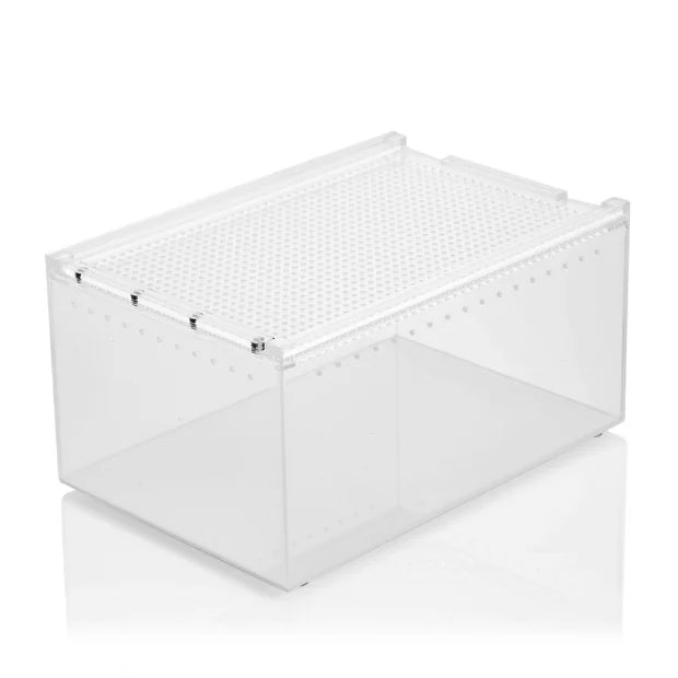 Specialty Reptile Box (H)
