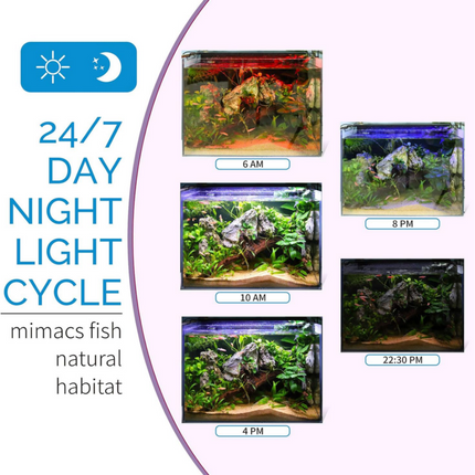HYGGER PLANTED +24/7 LED – HG978