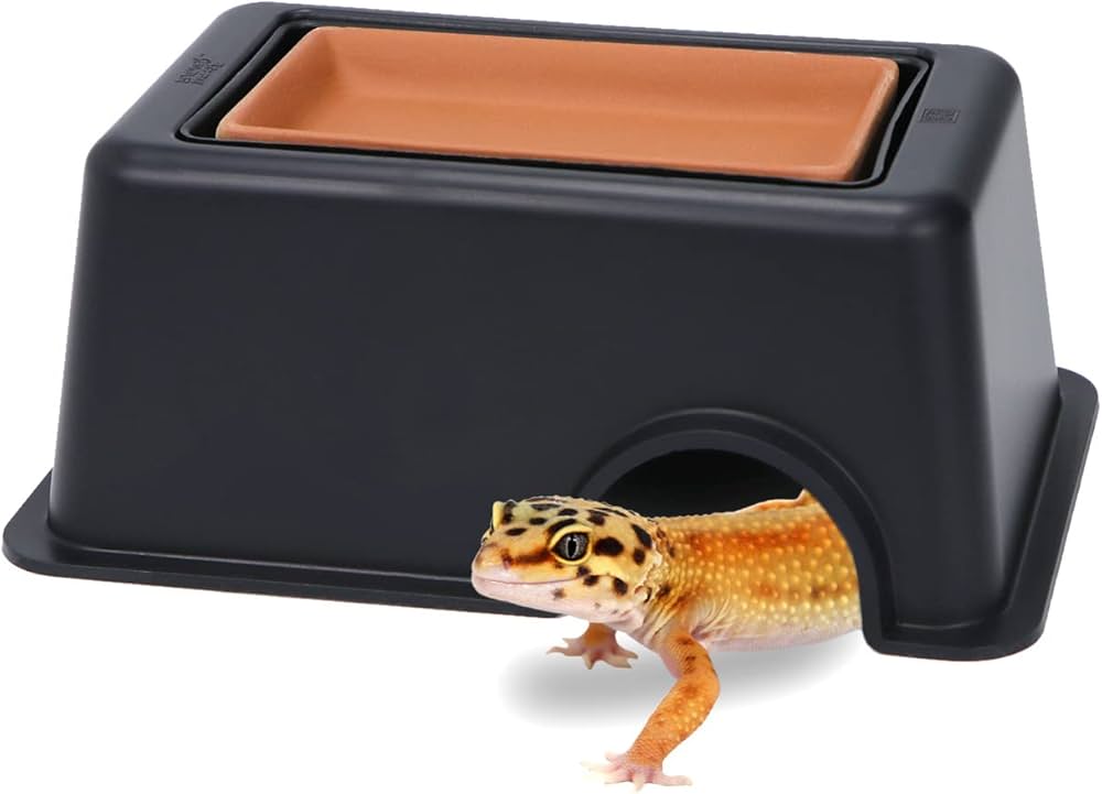 Hide Cave with Humidity Pot