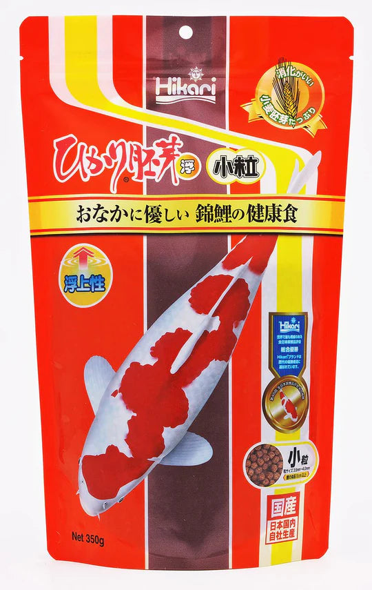 Hikari Wheat Germ Sinking Medium