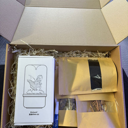 Mini Terrarium Starter Kit