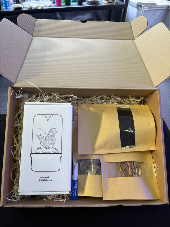 Mini Terrarium Starter Kit
