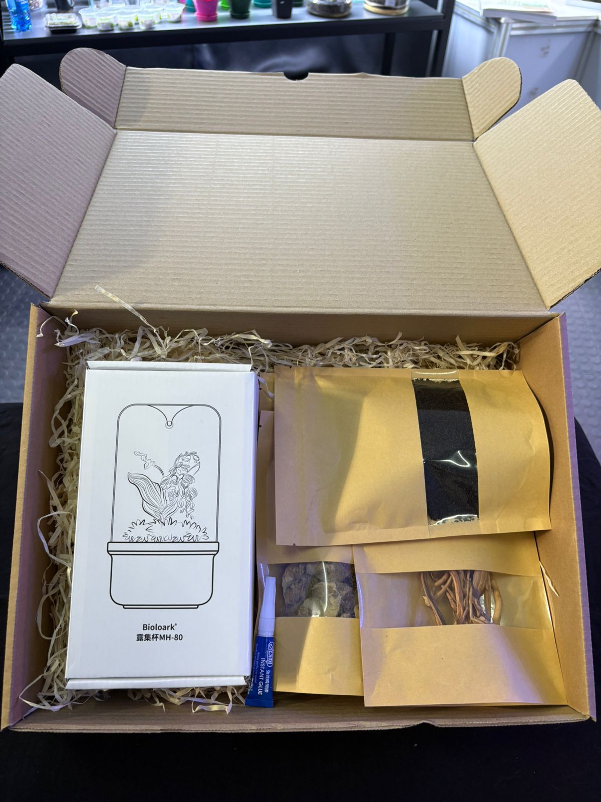 Mini Terrarium Starter Kit