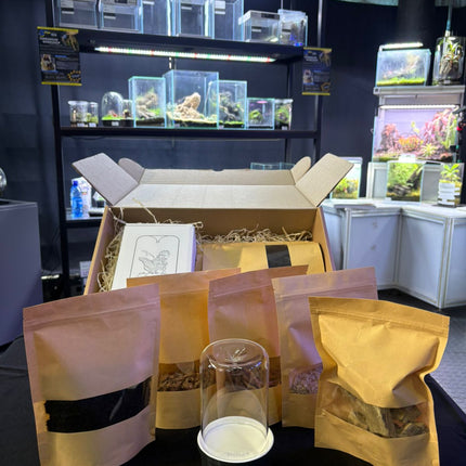 Mini Terrarium Starter Kit