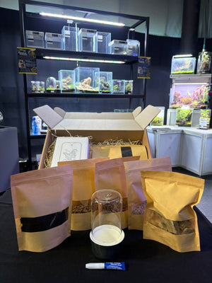 Mini Terrarium Starter Kit