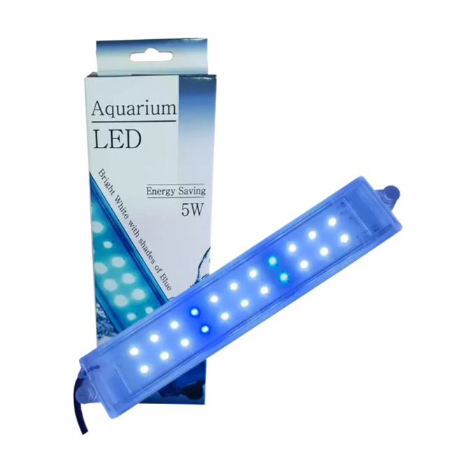 LED LIGHT 5W (WHITE & BLUE) 230V 50Hz