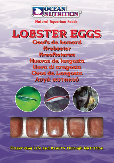 Lobster Eggs