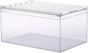 Magnetic Acrylic Reptile Box