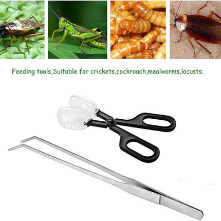 Nomoy Live Insect Clip