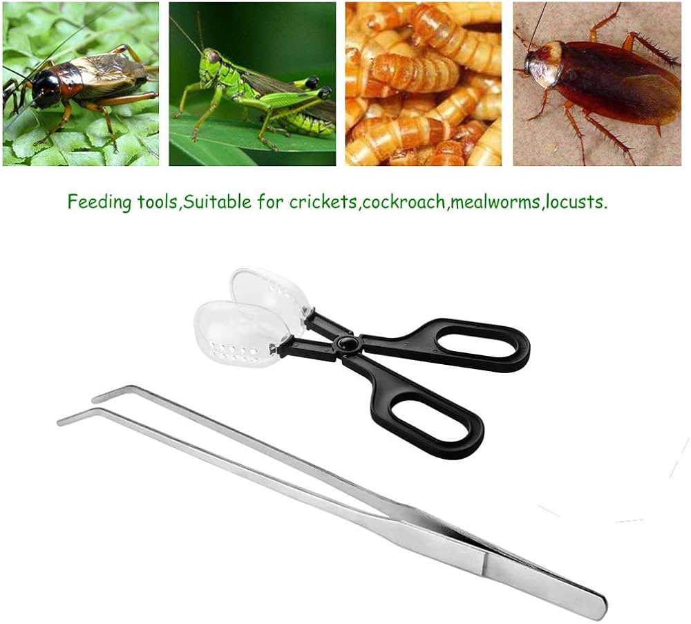 Nomoy Live Insect Clip