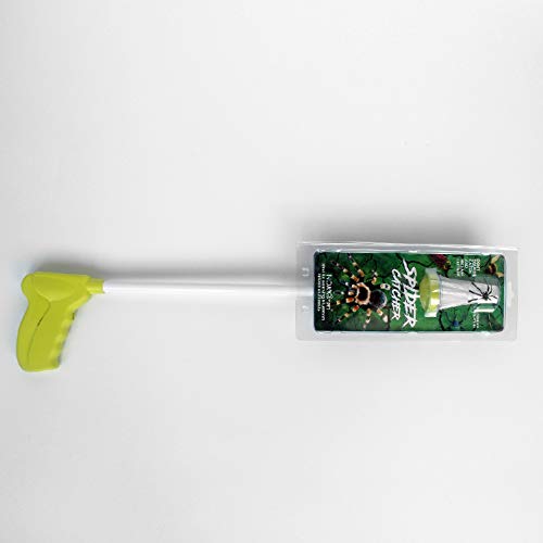 Spider and Insect Catcher