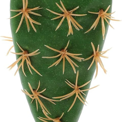 Nomoy Cactus Plants (QM)
