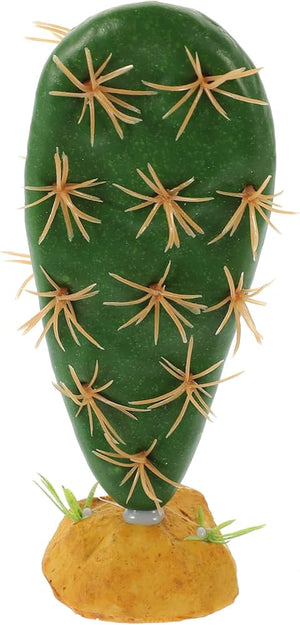 Nomoy Cactus Plants (QM)