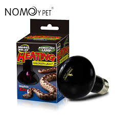 Nomoy Halogen Night Lamp (ND-08)