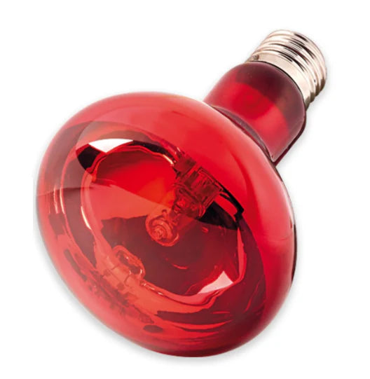 Nomoy Red Nightlight Bulb (ND-34)