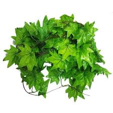 Nomoy Simulation Hanging Plants (NFF)