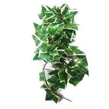 Nomoy Simulation Hanging Plants (NFF)