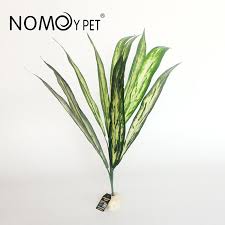 Nomoy Simulation Plant (NFF)