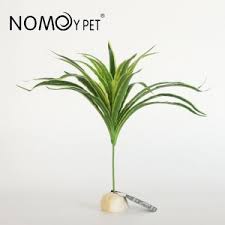 Nomoy Simulation Plant (NFF)