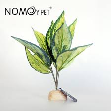 Nomoy Simulation Plant (NFF)