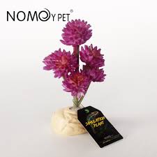 Nomoy Simulation Plant (NFF)