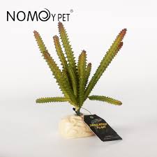 Nomoy Simulation Plant (NFF)