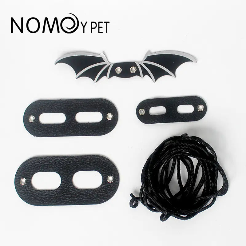 Nomoy Lizard Leash (NFF-56)