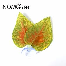 Nomoy Moss Accent Plant (NFF)