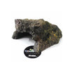 Nomoy Resin Cave (NS)