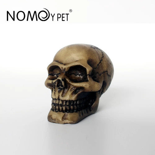 Nomoy Exotic Skull Hideout (NS)