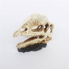 Nomoy Exotic Skull Hideout (NS)