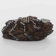Nomoy Prehistoric Dinosaur Decor (NS)