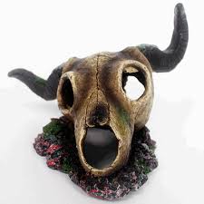 Nomoy Exotic Skull Hideout (NS)