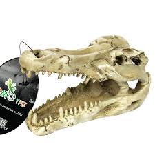 Nomoy Resin Skull Decor (NS)