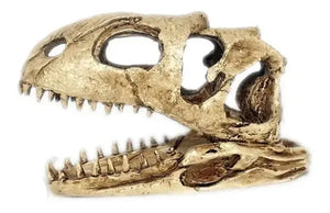 Nomoy Prehistoric Dinosaur Decor (NS)