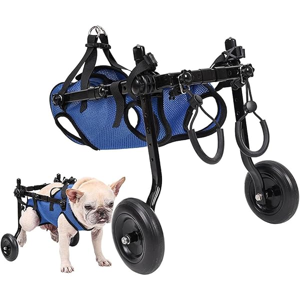 Pet Dog Wheelchair