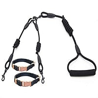 Double Dog Walking Lead