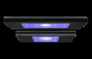 AI Hydra Edge Reef LED Next Gen Light