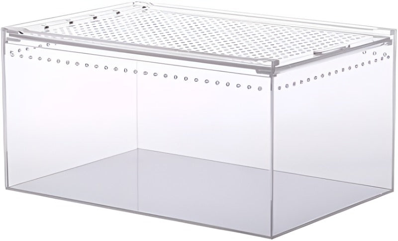 Magnetic Acrylic Reptile Box