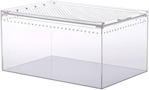 Magnetic Acrylic Reptile Box